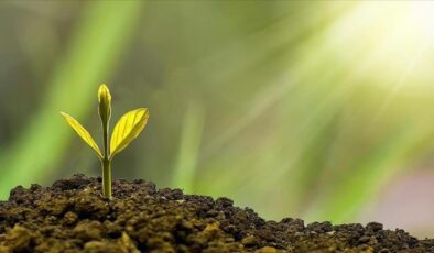 Sıfır Atık Projesi’nden Küresel Başarı Hikayesi: Türkiye’nin Çevre Zaferi ve Gelecek Hedefleri