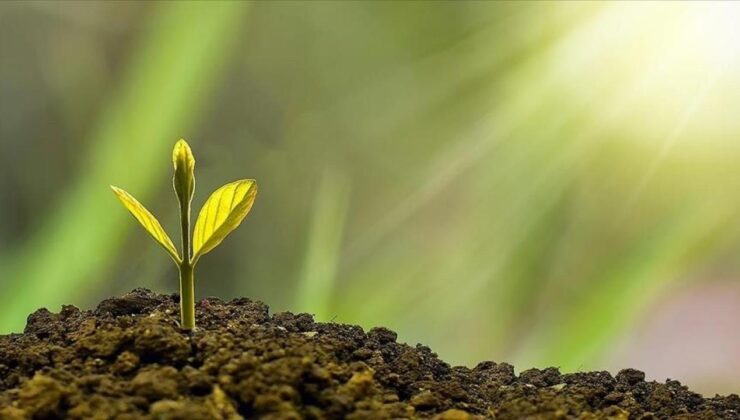 Sıfır Atık Projesi’nden Küresel Başarı Hikayesi: Türkiye’nin Çevre Zaferi ve Gelecek Hedefleri