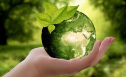 Uluslararası Sıfır Atık Günü: Dünyada Gıda İsrafı ve Açlık Çelişkisi Derinleşiyor