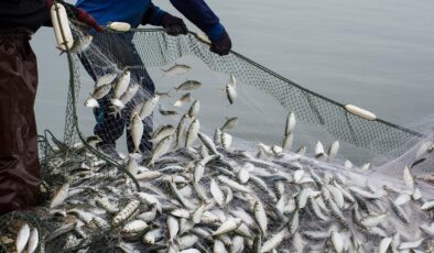 Su Ürünleri Sektöründen Rekor Performans: 2026’da Yeni Hedefler Belirlendi