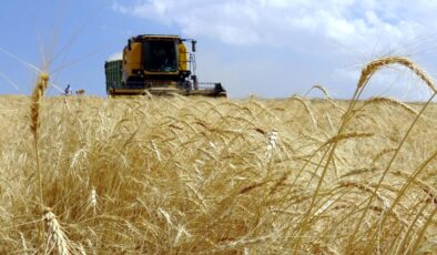 Çiftçilere 12.3 Milyar Liralık Tarımsal Destek Ödemesi Yarın Başlıyor