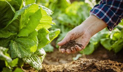 Tarımda Pestisit Bağımlılığına Son: Sürdürülebilir Çözümler ve ‘Akıllı Böcek’ Uygulamaları
