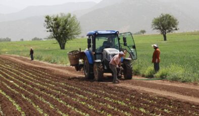 Tarım Sektörüne Destek: İthalat Rejimi Değişikliğiyle Gübrede Gümrük Vergisi Sıfırlandı
