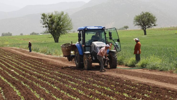 Tarım Sektörüne Destek: İthalat Rejimi Değişikliğiyle Gübrede Gümrük Vergisi Sıfırlandı