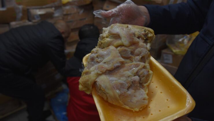 Şanlıurfa Siverek’te 50 Ton Bozuk Tavuk Etine El Konuldu: Halk Sağlığına Yönelik Büyük Operasyon