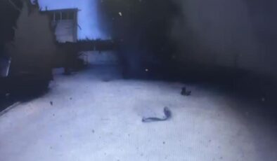 Tekirdağ’daki Yağ Fabrikası Patlaması: Korkunç Anlar Güvenlik Kamerasında