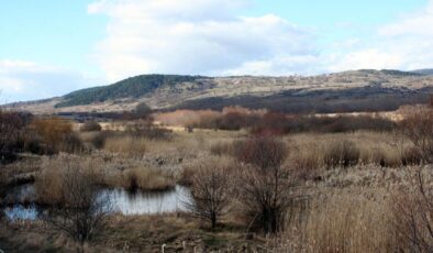 Tarımsal Drenaj Turbalıkları Karbon Kaynağına Dönüştürüyor: İklim Değişikliği İçin Büyük Risk