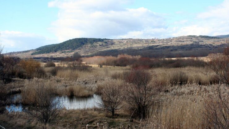 Tarımsal Drenaj Turbalıkları Karbon Kaynağına Dönüştürüyor: İklim Değişikliği İçin Büyük Risk