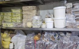 Rize’de Usulsüz Gıda Operasyonu: 9.75 Ton Tüketime Uygun Olmayan Ürün İmha Edilecek