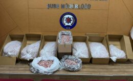 İzmir’de Dev Uyuşturucu Operasyonu: 356 Bin Hap Ele Geçirildi, 3 Tutuklama