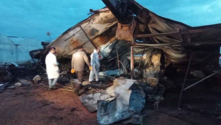 Antalya’daki Konteyner Yangını: Sera Sahibi Tutuklandı, Otopsi İşlemleri Devam Ediyor