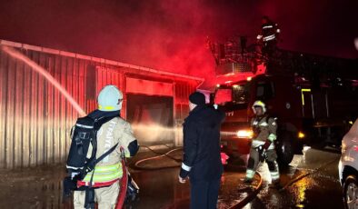 Edirne Sanayi Sitesi’nde Yangın: Pimapen Dükkanında Başlayan Alevler Orman İmalathanesine Sıçradı