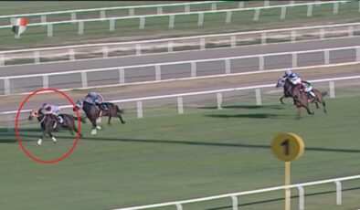 Mersin Aşevinde At Eti Skandalı: Kavurmadan Çıkan Elektronik Çip, İş İnsanına Ceza Getirdi