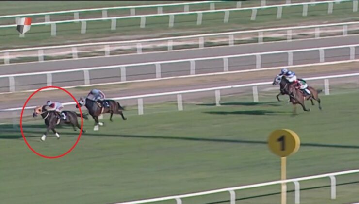 Mersin Aşevinde At Eti Skandalı: Kavurmadan Çıkan Elektronik Çip, İş İnsanına Ceza Getirdi