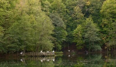 Milli Parklar Kanunu Değişti: Koruma ve Kullanım Dengesi Yeniden Tanımlanıyor