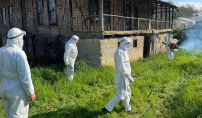 Bartın’da Kahverengi Kokarca ile Mücadele: Metruk Yapılarda İlaçlama Çalışmaları ve Vatandaş İşbirliği Vurgusu