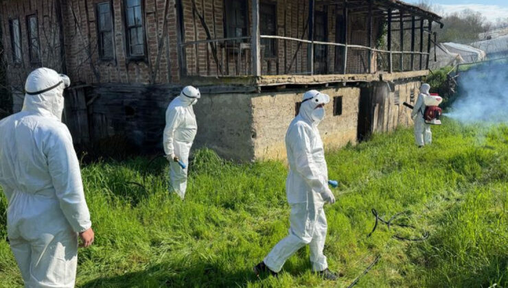 Bartın’da Kahverengi Kokarca ile Mücadele: Metruk Yapılarda İlaçlama Çalışmaları ve Vatandaş İşbirliği Vurgusu