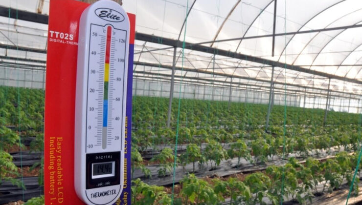 Zirai Don Riskine Karşı Bakanlıktan Sahada Teknik Destek ve Üreticilere Yönlendirme