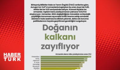 Doğanın Koruyucu Kalkanı Zayıflıyor: İklim Değişikliği ve Biyoçeşitlilik Krizi