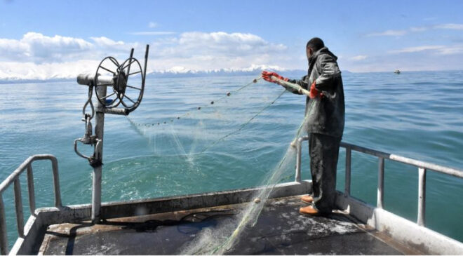 Van Gölü’nde İnci Kefali İçin Av Yasağına Doğru: Balıkçılar Son Hazırlıklarını Yapıyor