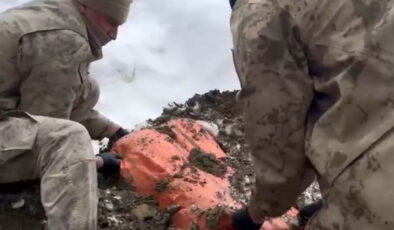 Van ve Hakkari’de Narkotik Operasyonları: 446 Kilogram Uyuşturucu Ele Geçirildi, 8 Şüpheli Gözaltında