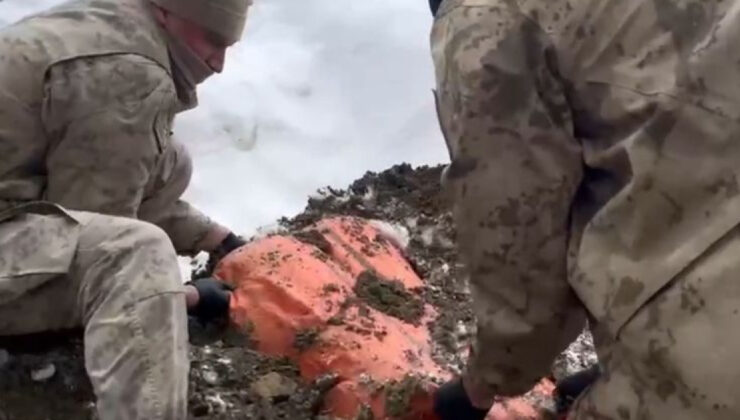 Van ve Hakkari’de Narkotik Operasyonları: 446 Kilogram Uyuşturucu Ele Geçirildi, 8 Şüpheli Gözaltında