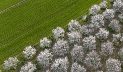 Meteoroloji’den Hava Durumu Uyarısı: Yağışlar Geliyor, Don ve Çığ Tehlikesine Dikkat!