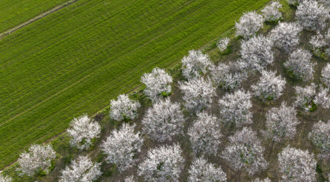 Meteoroloji’den Hava Durumu Uyarısı: Yağışlar Geliyor, Don ve Çığ Tehlikesi!