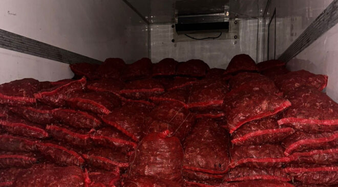 Bursa ve Balıkesir’de 10 Ton Kaçak Midye Operasyonu: Halk Sağlığına Tehdit!