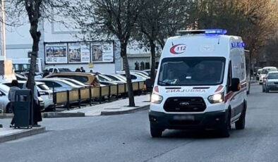 Siirt’te Narlık Bahçesinde Yaşanan Acı Olay: Budama Yaparken Hayatını Kaybetti