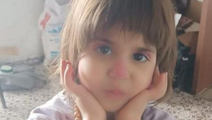 Bitlis Hizan’da Kayıp Çocuk: 5 Yaşındaki Rabia Ilgaz İçin Geniş Kapsamlı Arama Çalışması Başlatıldı