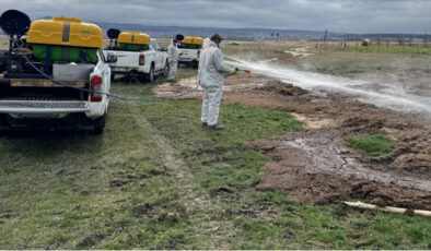 İstanbul Valiliği’nden Haşereyle Mücadele Genelgesi: Yaz Sezonuna Hazırlık