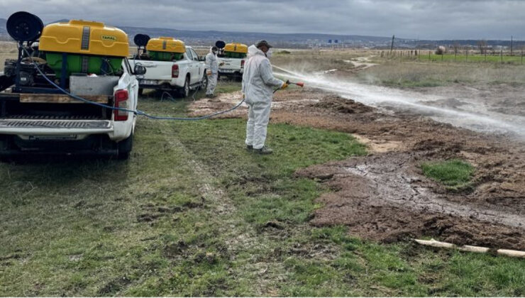 İstanbul Valiliği’nden Haşereyle Mücadele Genelgesi: Yaz Sezonuna Hazırlık