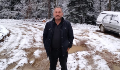 Karabük Yenice’de Orman Faciası: Ağaç Kesimi Sırasında İşçi Hayatını Kaybetti