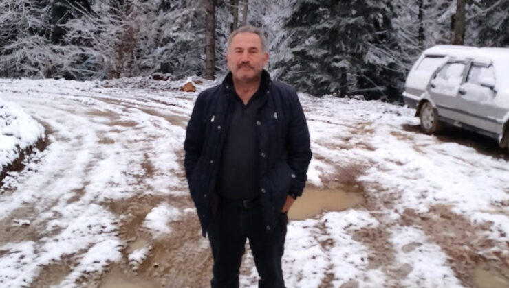 Karabük Yenice’de Orman Faciası: Ağaç Kesimi Sırasında İşçi Hayatını Kaybetti