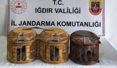 Iğdır’da Kaçak Keklik Avına Geçit Yok: 72 Bin TL Ceza ve Yasal İşlem