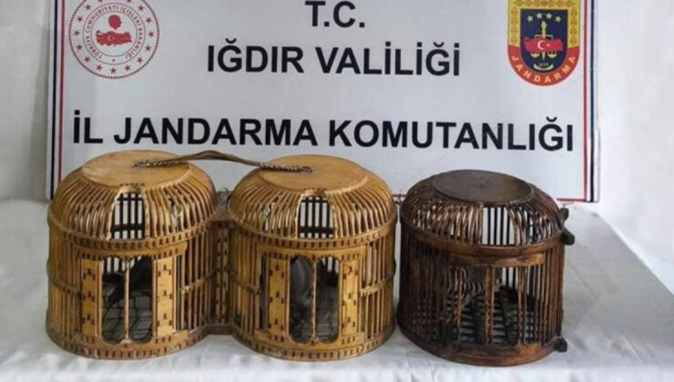 Iğdır’da Kaçak Keklik Avına Geçit Yok: 72 Bin TL Ceza ve Yasal İşlem