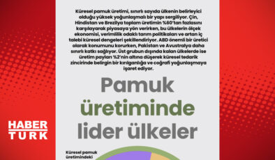 Pamuk Üretiminde Lider Ülkeler ve Türkiye’nin Konumu: Küresel Pazarda Neler Oluyor?