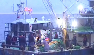 İstanbul Açıklarında 200 Kilogram Skunk Operasyonu: 6 Şüpheli Gözaltına Alındı