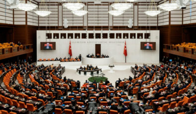 TBMM’den Geçen Yeni Sosyal Hizmetler Düzenlemesi: Kapatılan Kuruluşlar ve Devlet Korumasındaki Gençlere İstihdam İmkanı