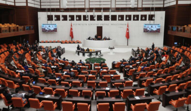 Sosyal Hizmetler Kanunu’nda Değişiklik: Yatılı Kuruluşlar, Devlet Koruması ve İstihdamda Yeni Düzenlemeler