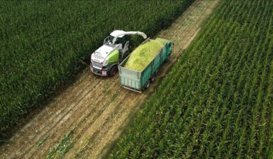 TÜİK Verileri: Mart Ayında Tarım ÜFE’de Yüksek Artışlar Görüldü