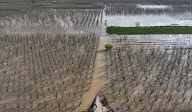 Bursa ve Antalya’da Sağanak Afeti: Armut Bahçeleri ve Tarım Arazileri Sular Altında