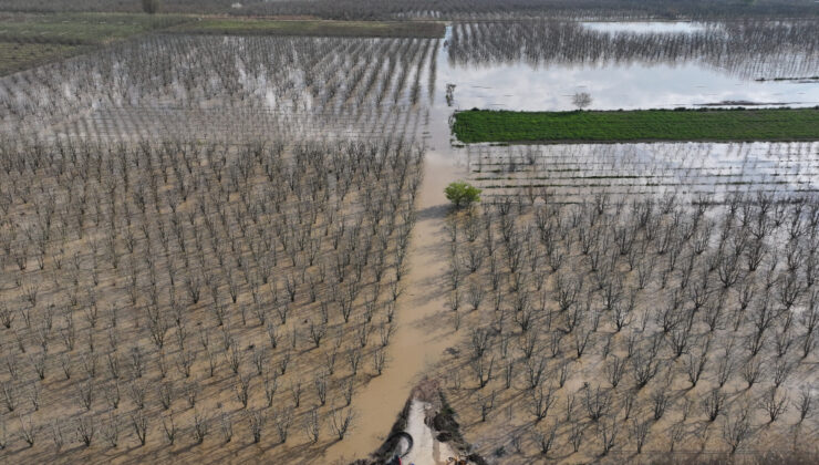 Bursa ve Antalya’da Sağanak Afeti: Armut Bahçeleri ve Tarım Arazileri Sular Altında