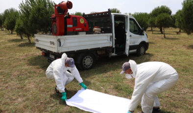 İBB’den Haşereyle Mücadelede Bilimsel Yaklaşım: 264 Bin Nokta Takip Altında