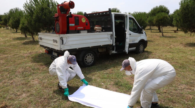 İBB’den Haşereyle Mücadelede Bilimsel Yaklaşım: 264 Bin Nokta Takip Altında