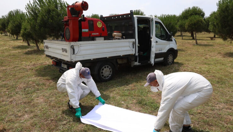 İBB’den Haşereyle Mücadelede Bilimsel Yaklaşım: 264 Bin Nokta Takip Altında