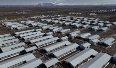Ağrı’da Hayvancılığa Yeni Bir Soluk: Ahırlar Projesiyle Dönüşüm Başlıyor