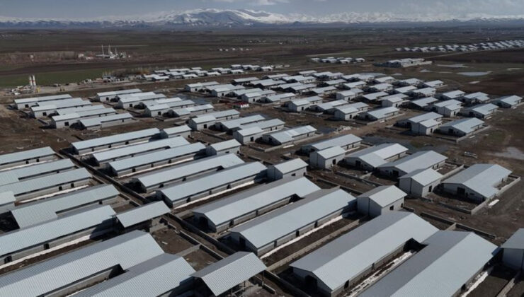 Ağrı’da Hayvancılığa Yeni Bir Soluk: Ahırlar Projesiyle Dönüşüm Başlıyor