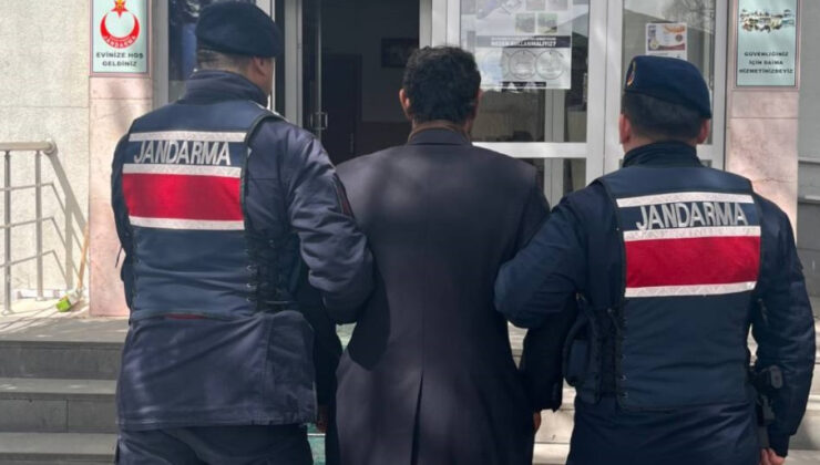 Kayseri’de Köpeğini Ağaca Asarak Öldüren Şahıs Tutuklandı: ‘Çok Yiyor’ Gerekçesiyle Yapılan Katliam